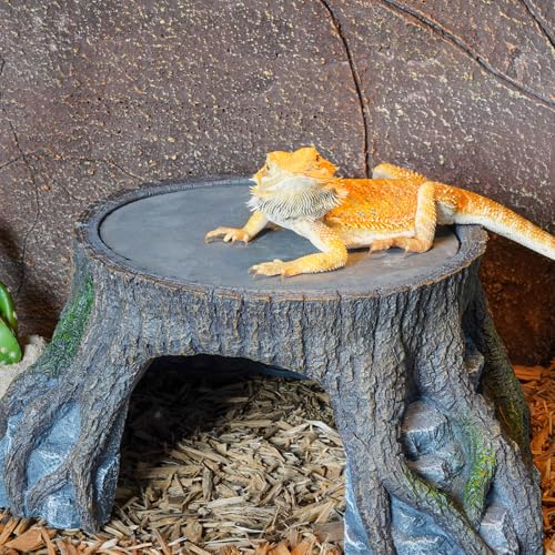 Bearded Dragon Basking Platform (Extra Large)