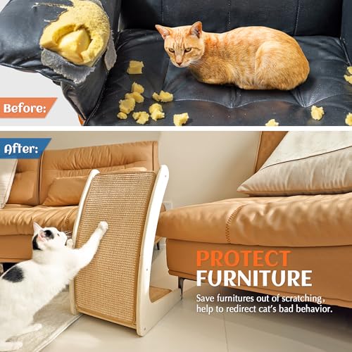 Cat Scratcher (Classic / Curved)