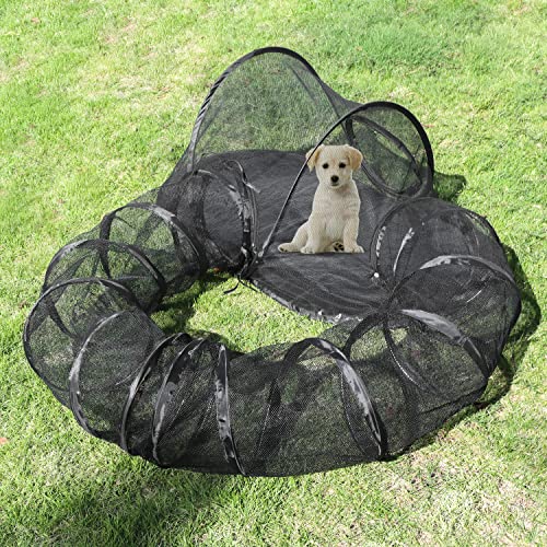 Outdoor Cat Enclosures