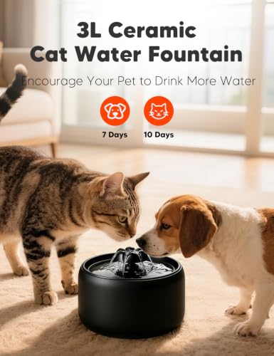 Premium Ceramic Cat Water Fountain W03 Lite