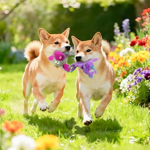 5 Pack No Stuffing Dog Toys (5-color)