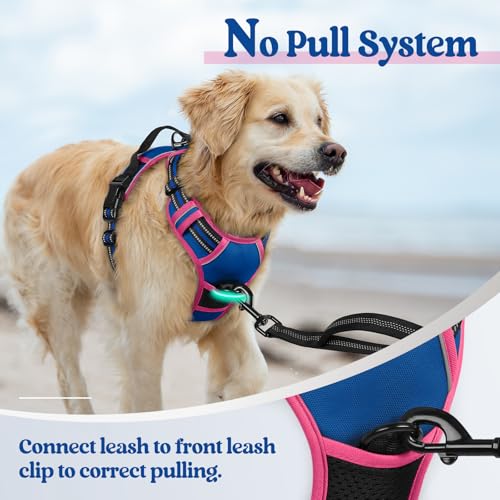 Dog Harness No Pull for Large Dogs with 2 Leash Clips (X-Large / Blue & Hot Pink)