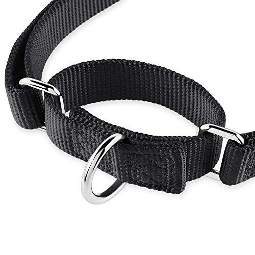 Martingale Collar for Dogs (Large / Black)