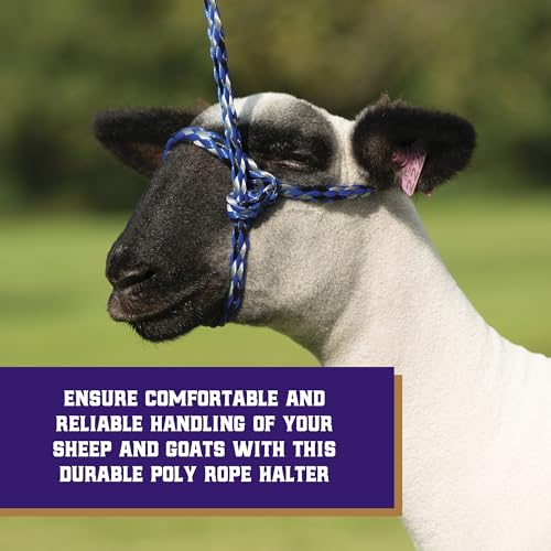 Poly Rope Sheep Halter (Blue)