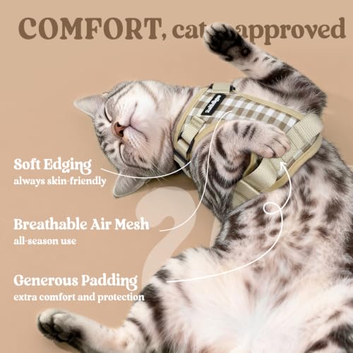 Cat Harness and Leash Set (Xs / Foamy Coffee)