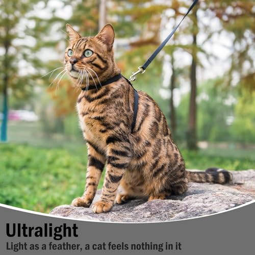 Adjustable Cat Harness and Leash Set Escape Proof Kitten Strap Collar for Walking Travel (Small / Black)