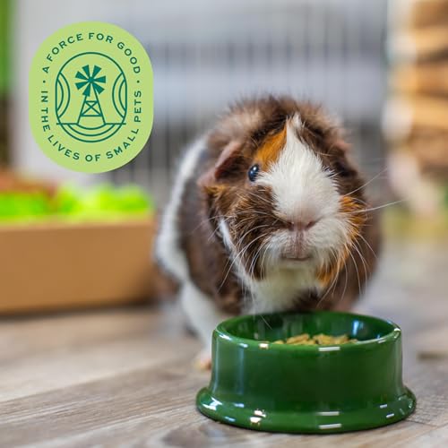 Essentials Adult Guinea Pig Food (25 Pound (Pack of 1))