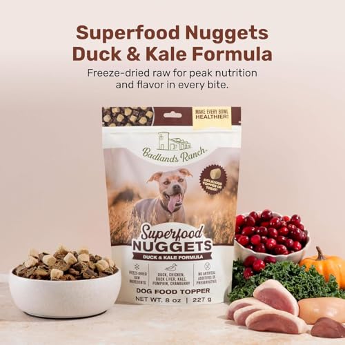 Superfood Nuggets (8 Ounce (Pack of 1))