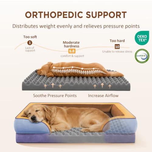 Orthopedic Dog Bed for Extra Large Dogs with Bolster (45.0"L x 35.0"W x 8.5"Th / Honey Lavender)