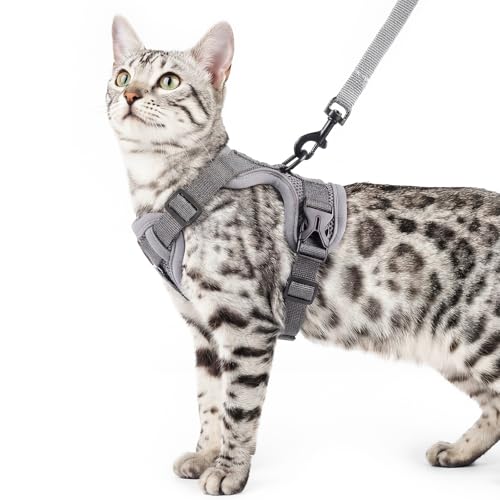 Cat Harness and Leash Set (Grey / X-Large)