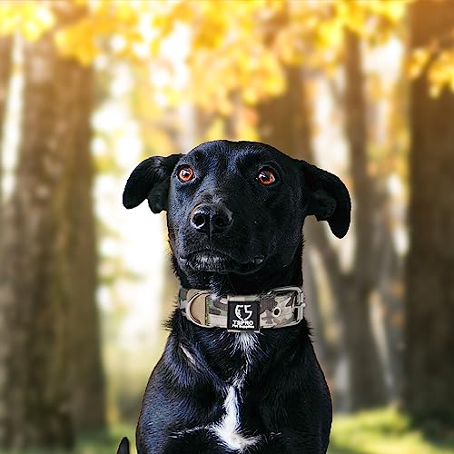 Heavy Duty Thick Dog Collar with Metal Buckle for Small Dogs (S – Fits Neck 12.6"-15.8" / Camo Military Green)