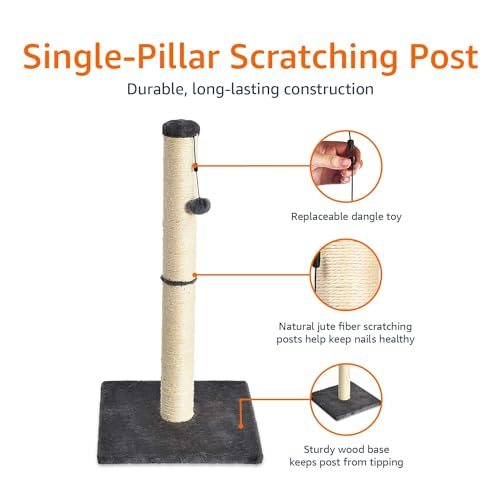 Cat Scratching Post for Indoor Cats & Kittens (Scratching Post / Grey / 31.5" H)