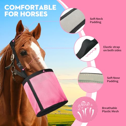 Horse Feed Bag for Grain (Pink)