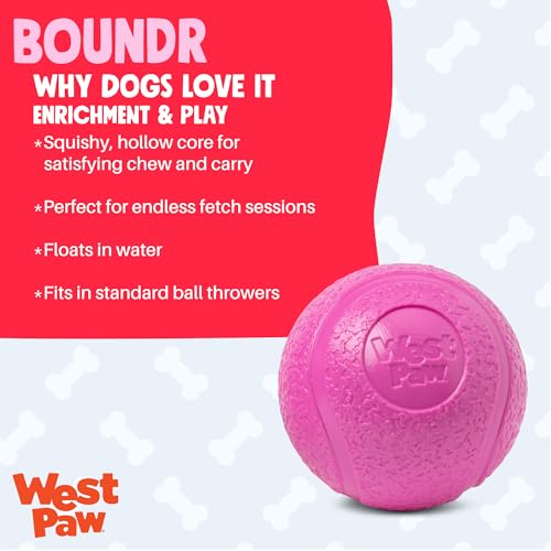 Boundr Ball Dog Fetch Toy (Small (Pack of 2) / Hot Pink/Glow)