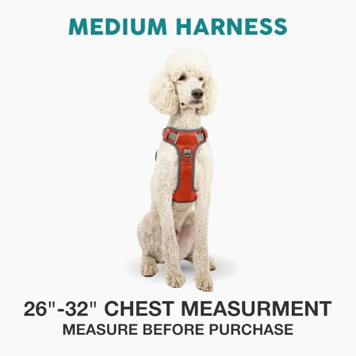 Embark No Pull Dog Harness (M / Orange)