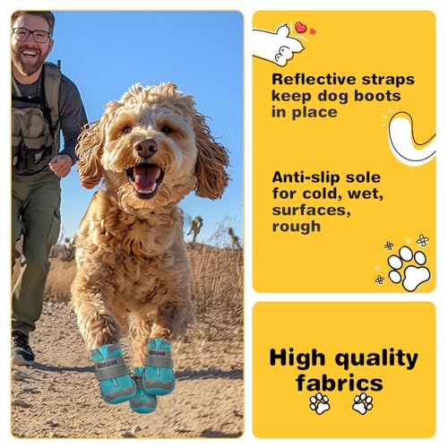 Dog Shoes for Dogs (Blue / Width 1.96 in)