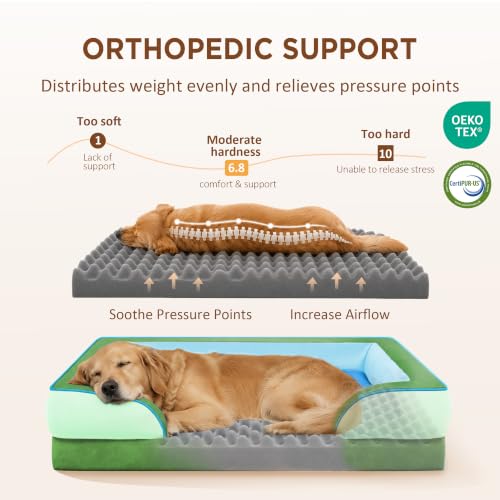 Orthopedic Dog Beds for Large Sized Dog with Bolster (36.0"L x 27.0"W x 8.0"Th / Boston)