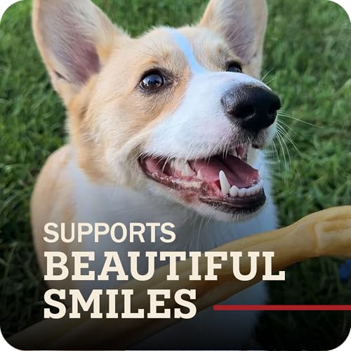Redbarn Small Collagen Sticks 100% Natural Beef Dog Chew (Small / 0.02 Ounce (Pack of 25))