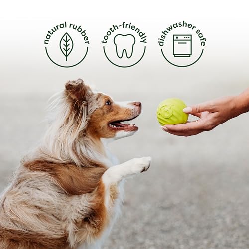 4-Pack Ball/Bone/Bacon Wishbone/Fishbone Medium (4 Pack)
