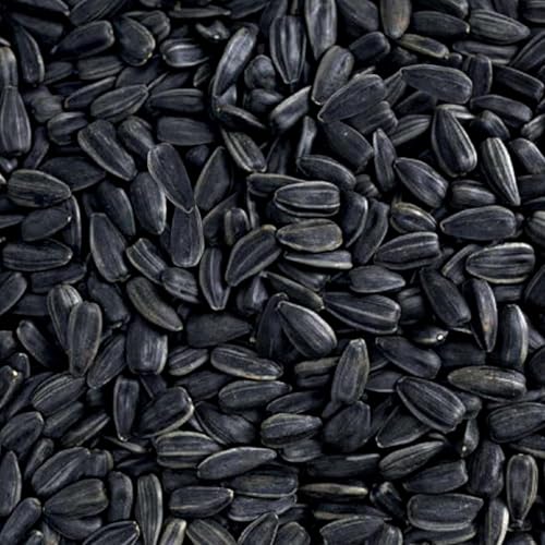 Thistle Seed & Sunflower Seeds Bird Food Combo (5 lb Thistle/Sunflower Seed Combo)