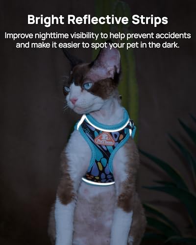 Upgraded Cat Harness and Leash Set (Blue Butterfly Magic / S)