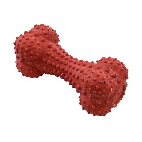 Arlee Rubber Bone Dog Toy for All Dogs