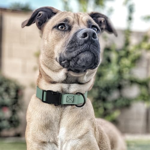 Biothane Waterproof Dog Collar with Quick Release Buckle Strong Coated Nylon Webbing with Odor (1"W by 15-25"L / Sage Green)