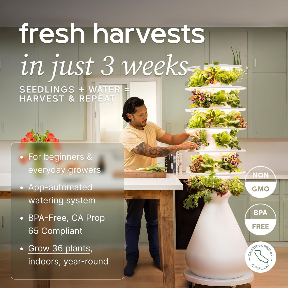 Farmstand Indoor Kit (36 Seedlings / Indoor With Seedlings)