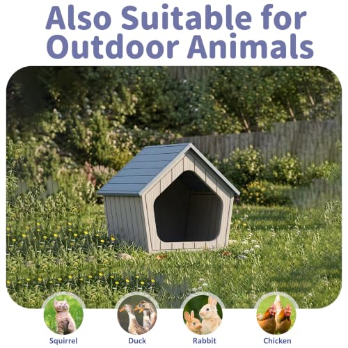 Outdoor Dog House for Small Dogs (Blue / XSmall Dog: 22.8 Inch)
