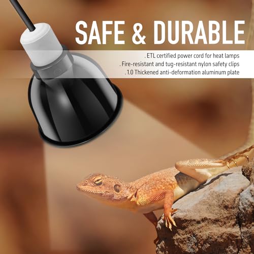 Reptile Light Fixture