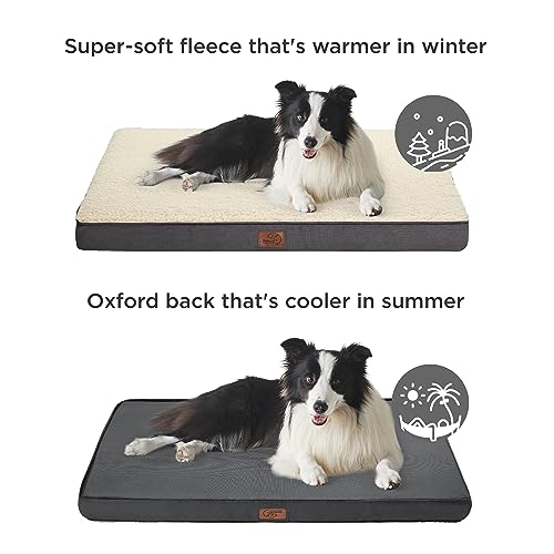 XL Dog Bed Extra Large Pet Bed with Comfy Sherpa (44"L x 32"W x 3"Th / Brown)