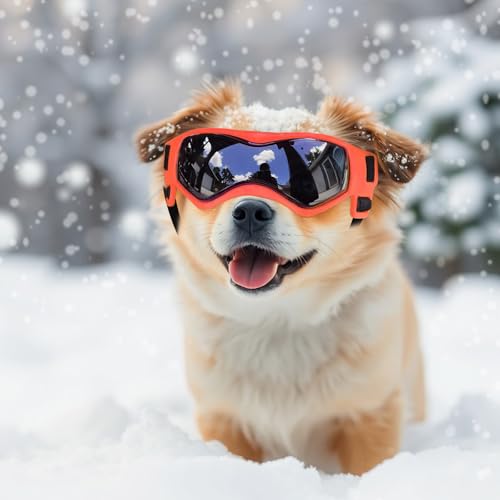 Small Dog Goggles for Small Breed UV (Small / Orange)