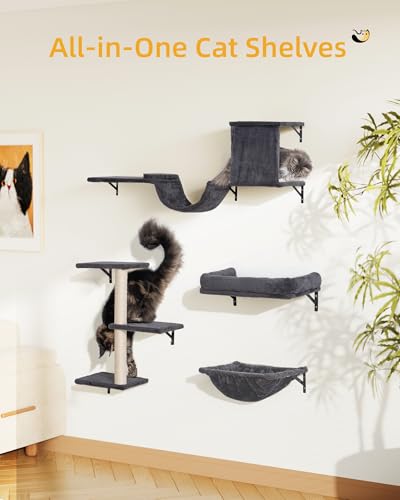 Heavy Duty Cat Wall Shelves for Large Cats
