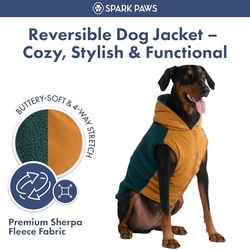 Reversible Dog Hoodie Sweater (Orange and Green / XL)