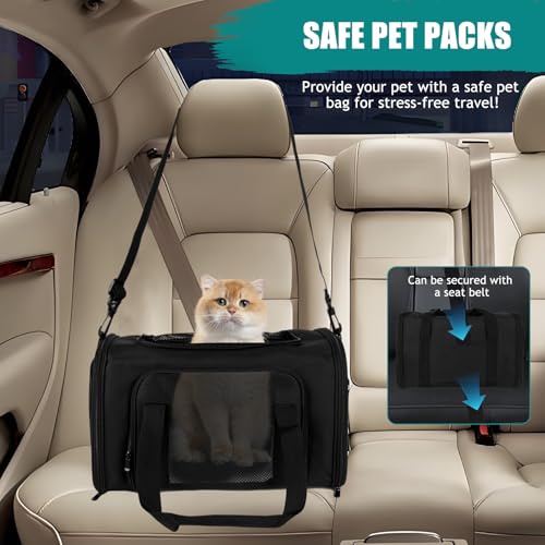 Dog Cat Carrier Pet Carriers for Small Medium Large Cats Dogs Carrier Soft Sided Small Puppy Dog Carrier Portable Foldable Airline Approved Dog Cat Travel Carrier Black Medium (18.0"L x 11.0"W x 11.0"H / Black)