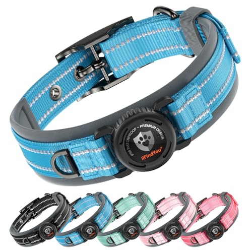 Heavy Duty Dog Collar with AirTag Holder (Blue / L (21-23in Neck))