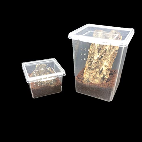 Small Reptile breeding Box Spider Terrarium freeding Box for arboreal Tarantula Scorpion Sling Lizards Mantis Jumping Spider Snail Insect Isopods Terrariums Breeding Box