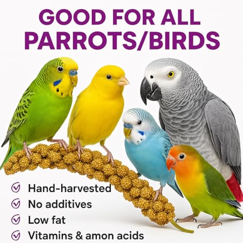 5lbs French Kissed Spray Millet for Birds (5lb)