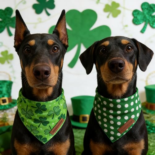 St. Patrick's Day Dog Bandanas 2 Pack (St Patricks Day 1 / X-Large)