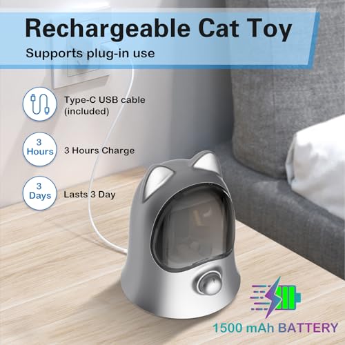 Cat Laser Toys for Indoor Cats (Silver)