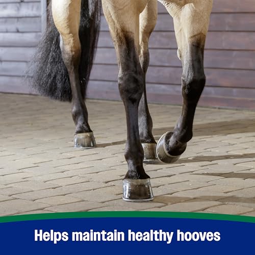 Horseshoer's Secret Pelleted Hoof & Biotin Supplements (Original formula / 11 pounds)