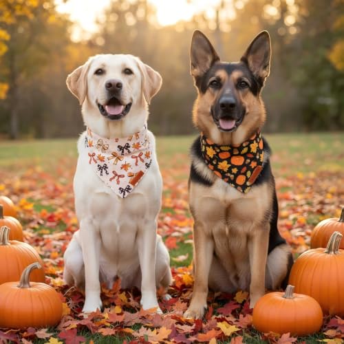Fall Dog Bandanas (X-Large / Fall-2)