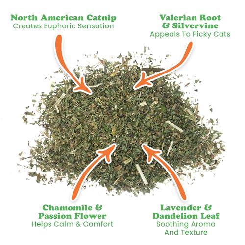 Catnibas Catnip Pawty Mix Jar