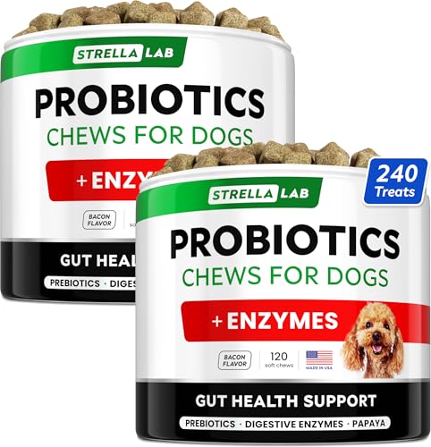 Dog Probiotics Treats for Picky Eaters (Probiotic Chews / 240Ct (Bacon))