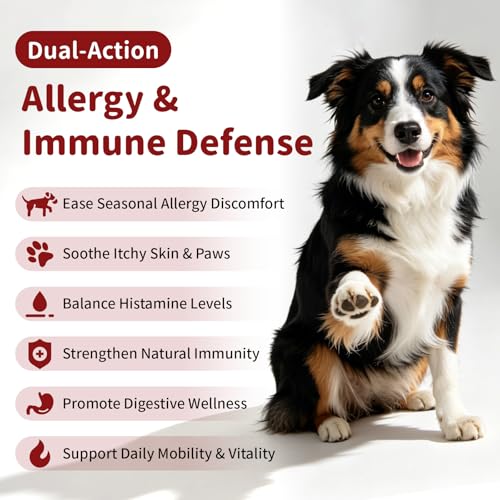 Dog Allergy Chews (90 Count (Pack of 1))