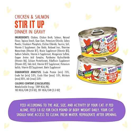 B.F.F. OMG Best Feline Friend Oh My Gravy! (2.8 Ounce (Pack of 12))