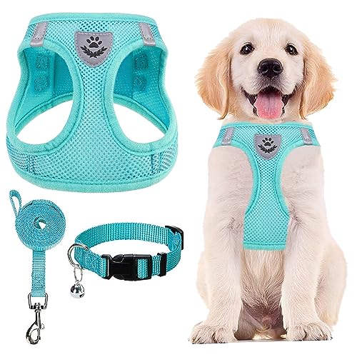 Dog Harness Collar and Leash Set No Pull for Small Medium Sized (Turquoise / XS (CHEST 13"-14.5"))