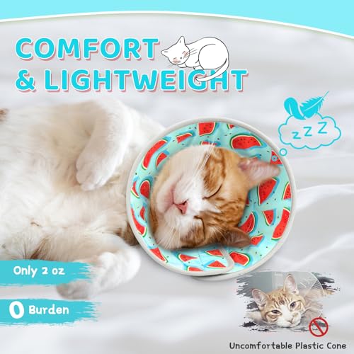 Cat Cone Collar Soft to Stop Licking (Blue / M)