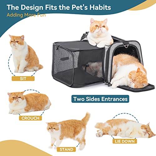 Cat Carrier Airline Approved