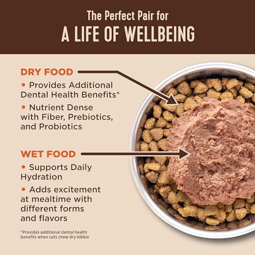 CORE+ Healthy Weight Adult Dry Cat Food (4.75 Pound (Pack of 1))
